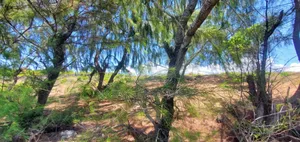 Beach Plot for Sale at Zanzibar
