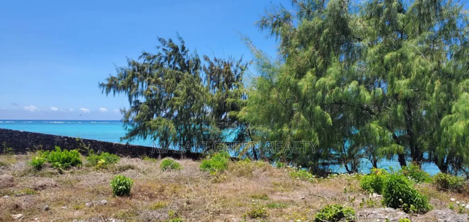 Beach Plot for Sale at Zanzibar