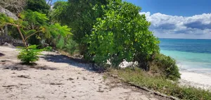 Beach Plot for Sale at Zanzibar