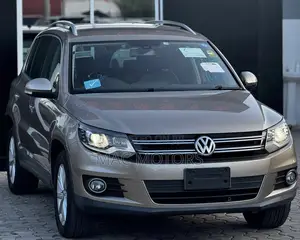 Volkswagen Tiguan 2011 Gold