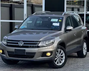 Volkswagen Tiguan 2011 Gold
