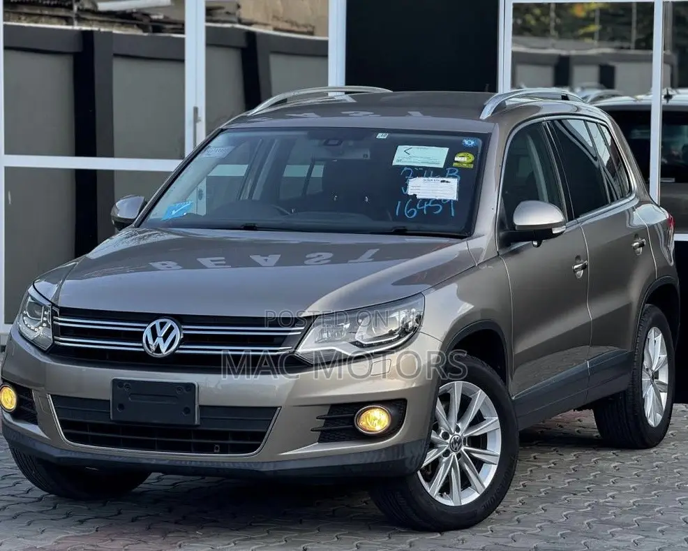 Volkswagen Tiguan 2011 Gold