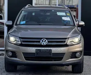 Volkswagen Tiguan 2011 Gold