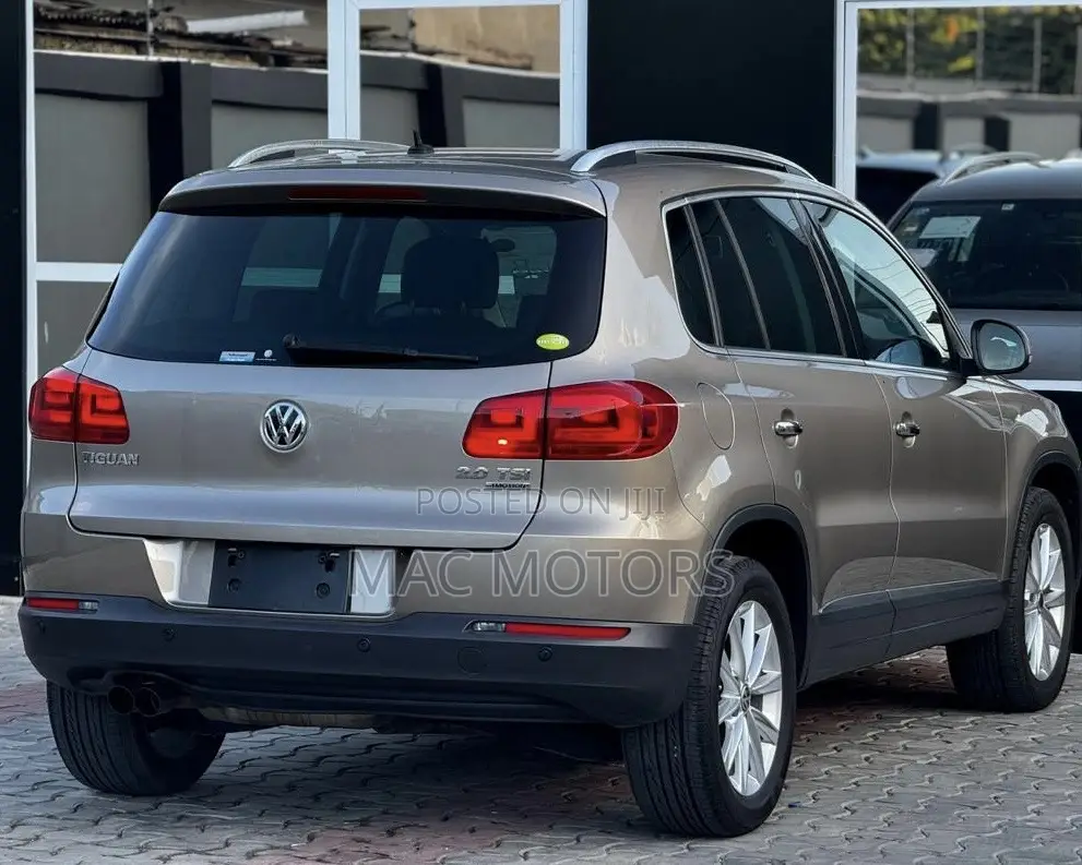 Volkswagen Tiguan 2011 Gold