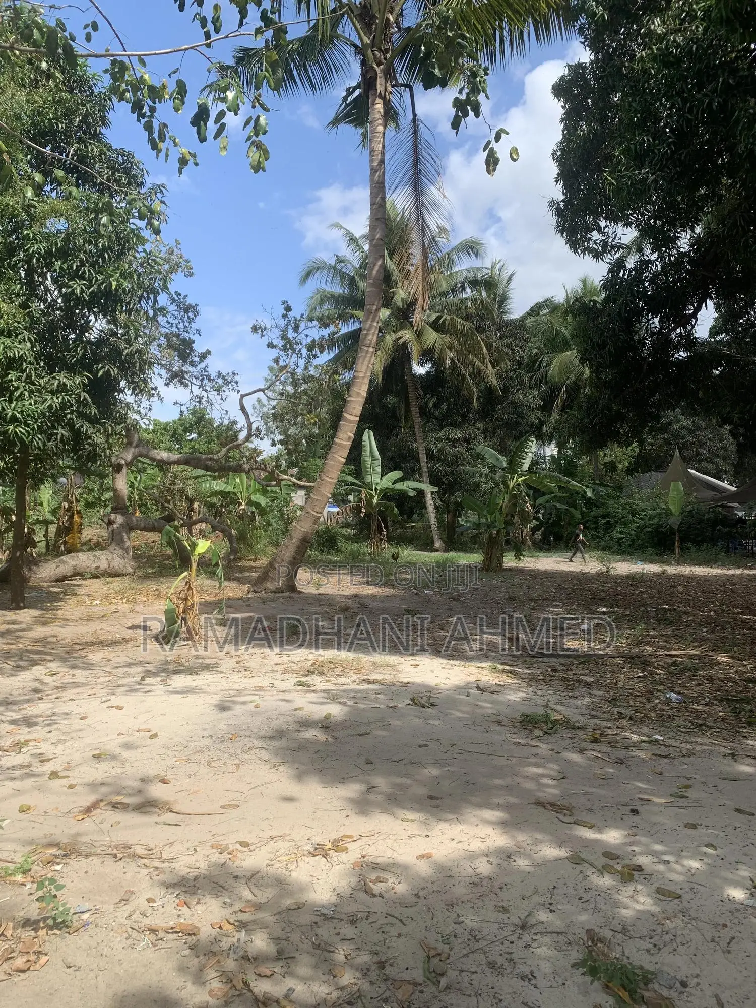 Kisemvule Mwisho Area