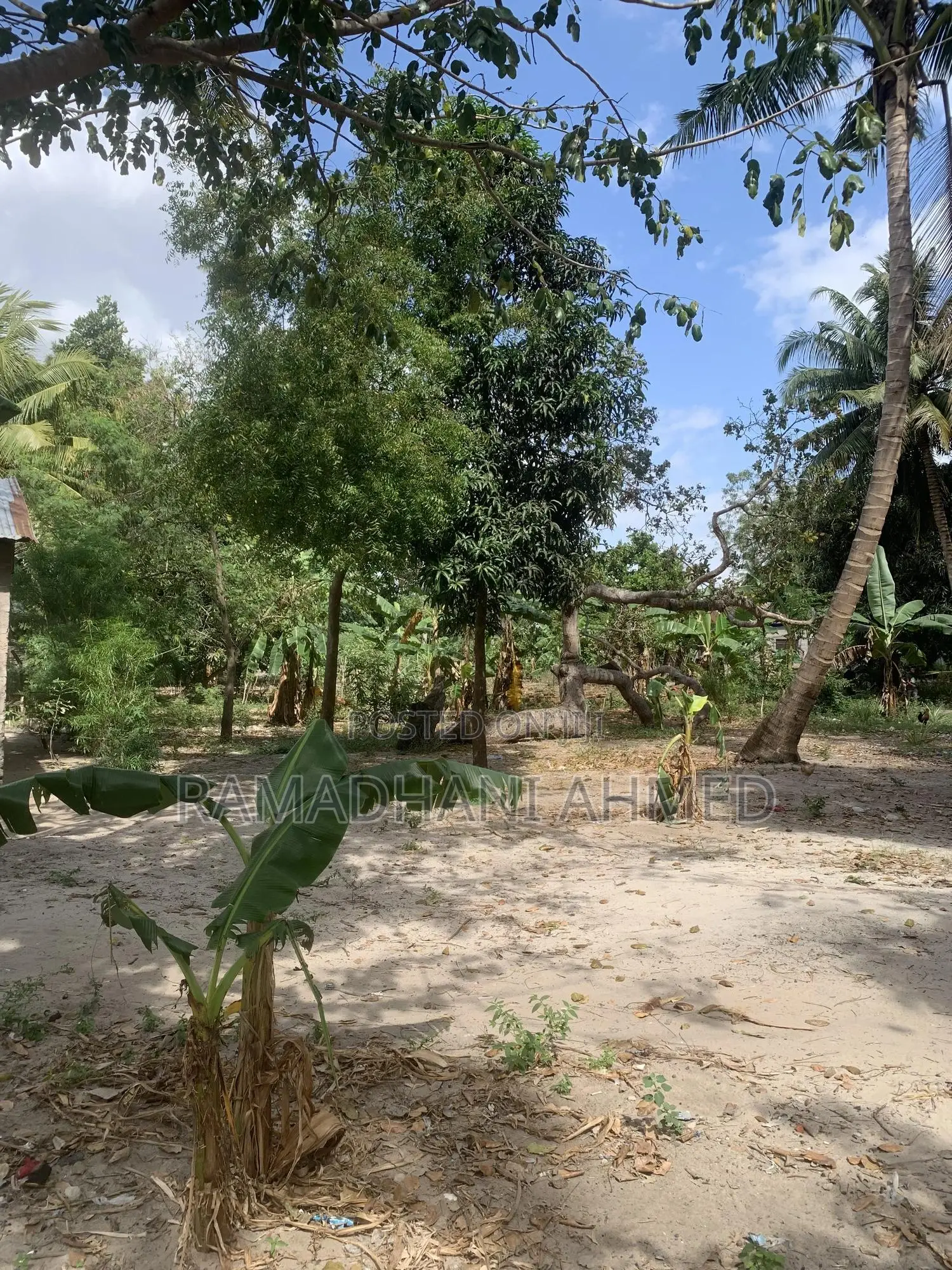 Kisemvule Mwisho Area