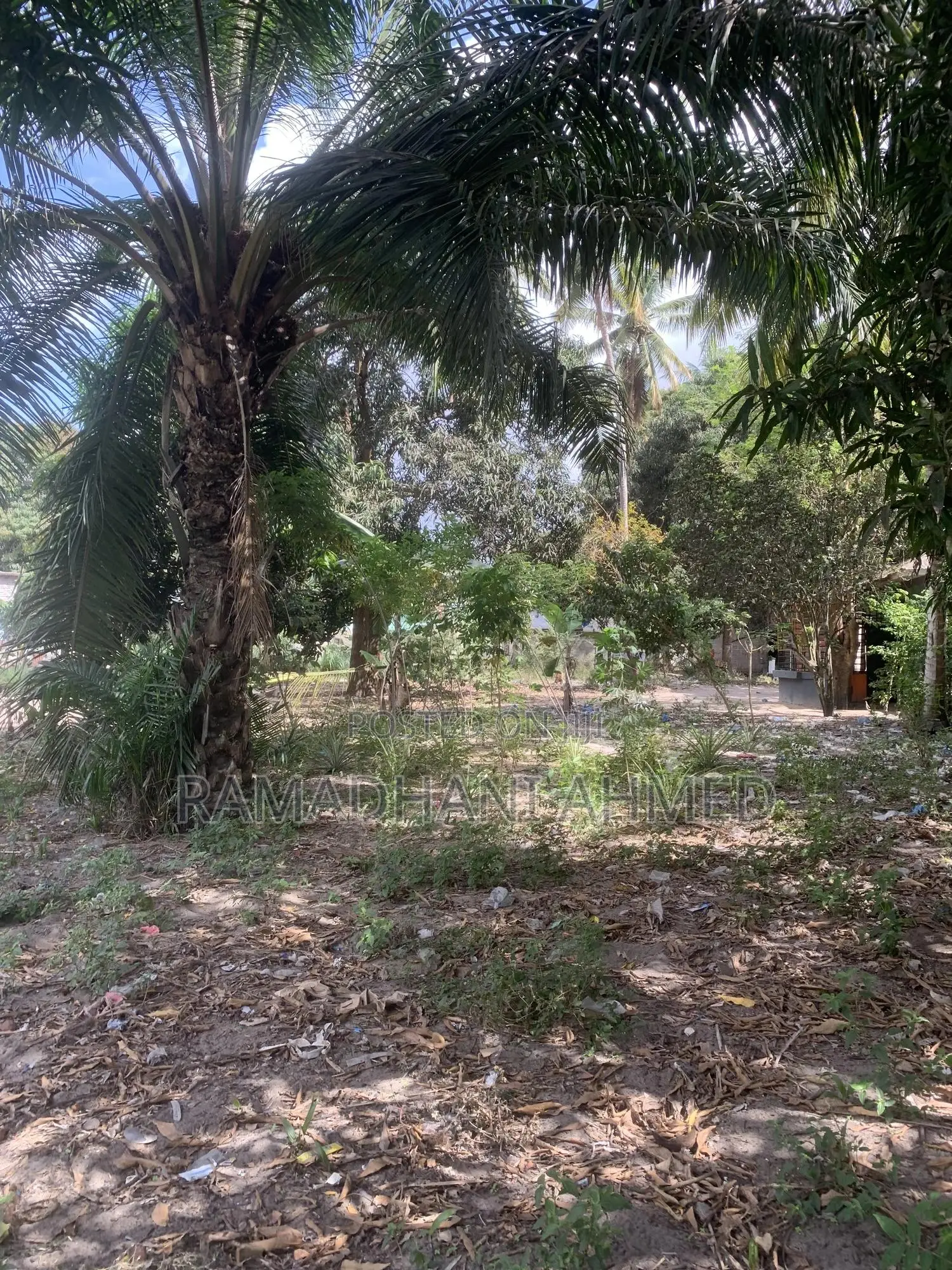 Kisemvule Mwisho Area