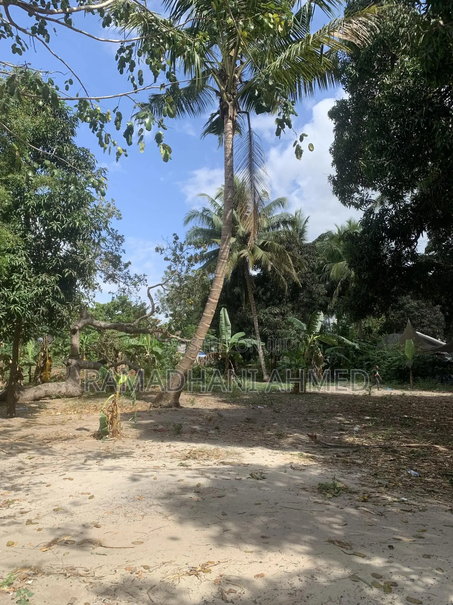 Kisemvule Mwisho Area