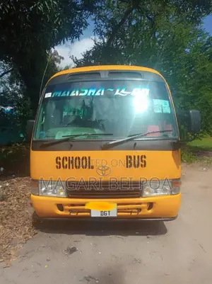 Toyota Coaster 2004 Orange