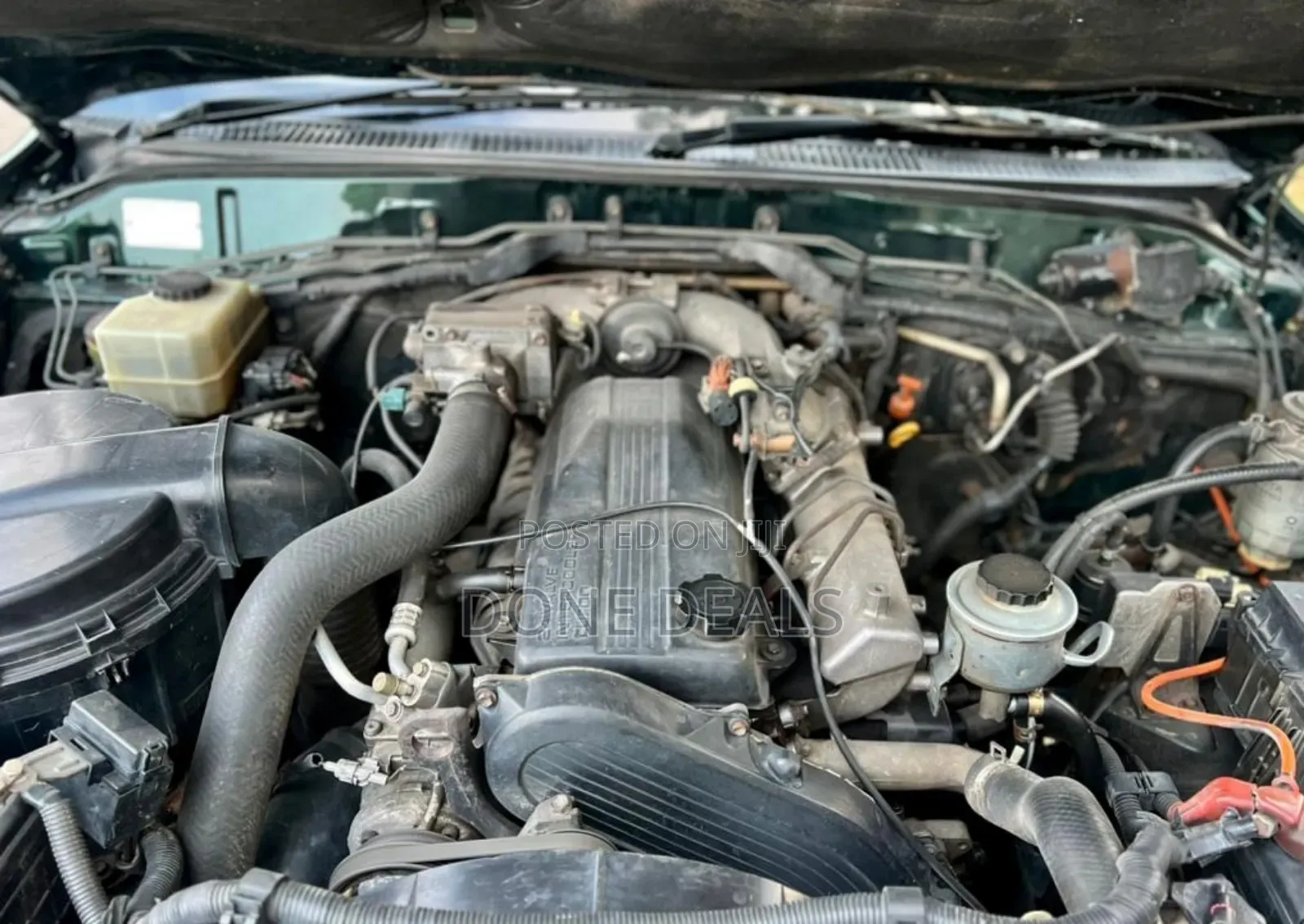 Toyota Land Cruiser 2004 Green