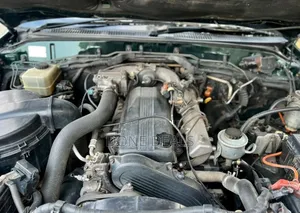 Toyota Land Cruiser 2004 Green
