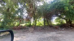 Plot Sale Hectares 3 It Look at Tarmac Mbez Beach Rainbow