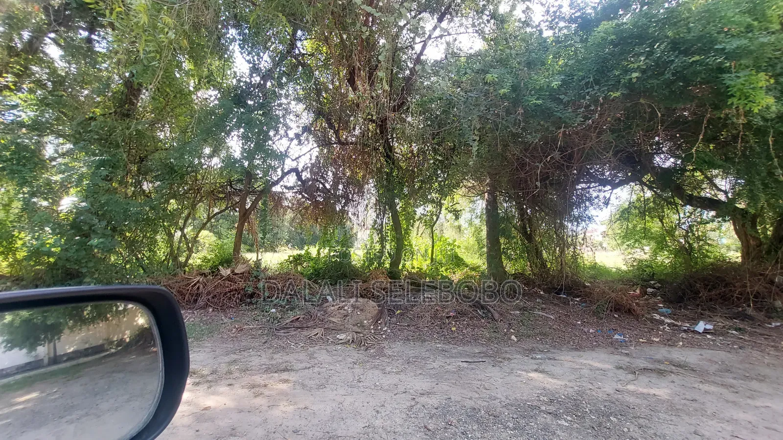 Plot Sale Hectares 3 It Look at Tarmac Mbez Beach Rainbow