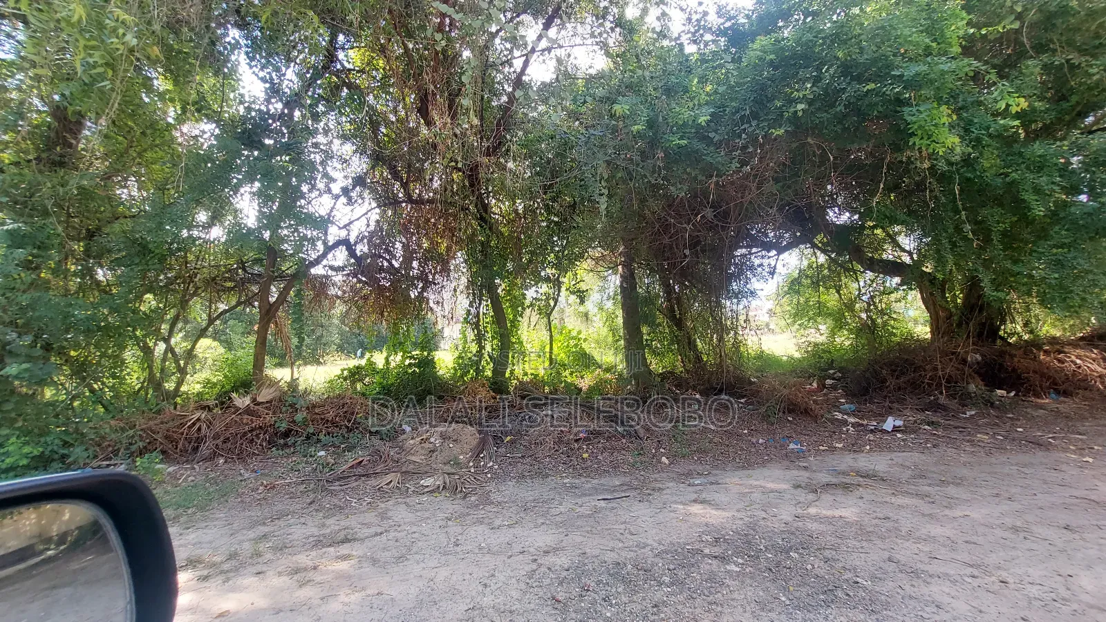 Plot Sale Hectares 3 It Look at Tarmac Mbez Beach Rainbow
