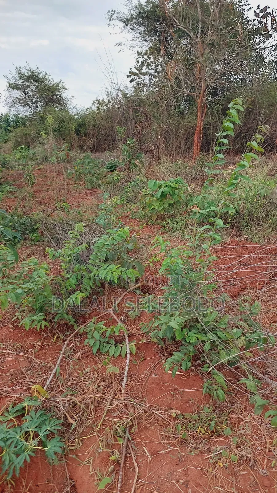 Beach Plot 3hectars at Mbezi Beach-Kidimbwi