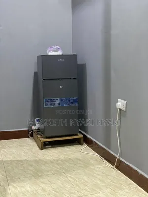 Friji Kampuni Ya Boss