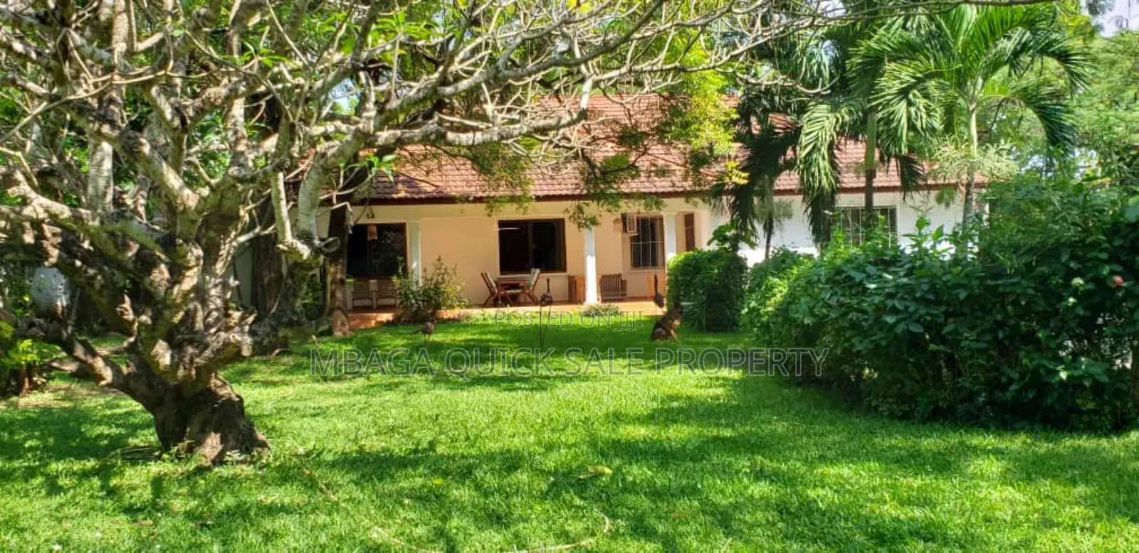 4bdrm House in Oysterbay for rent