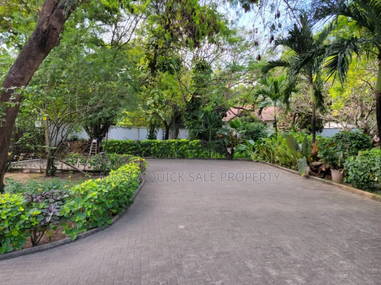 4bdrm House in Oysterbay for rent