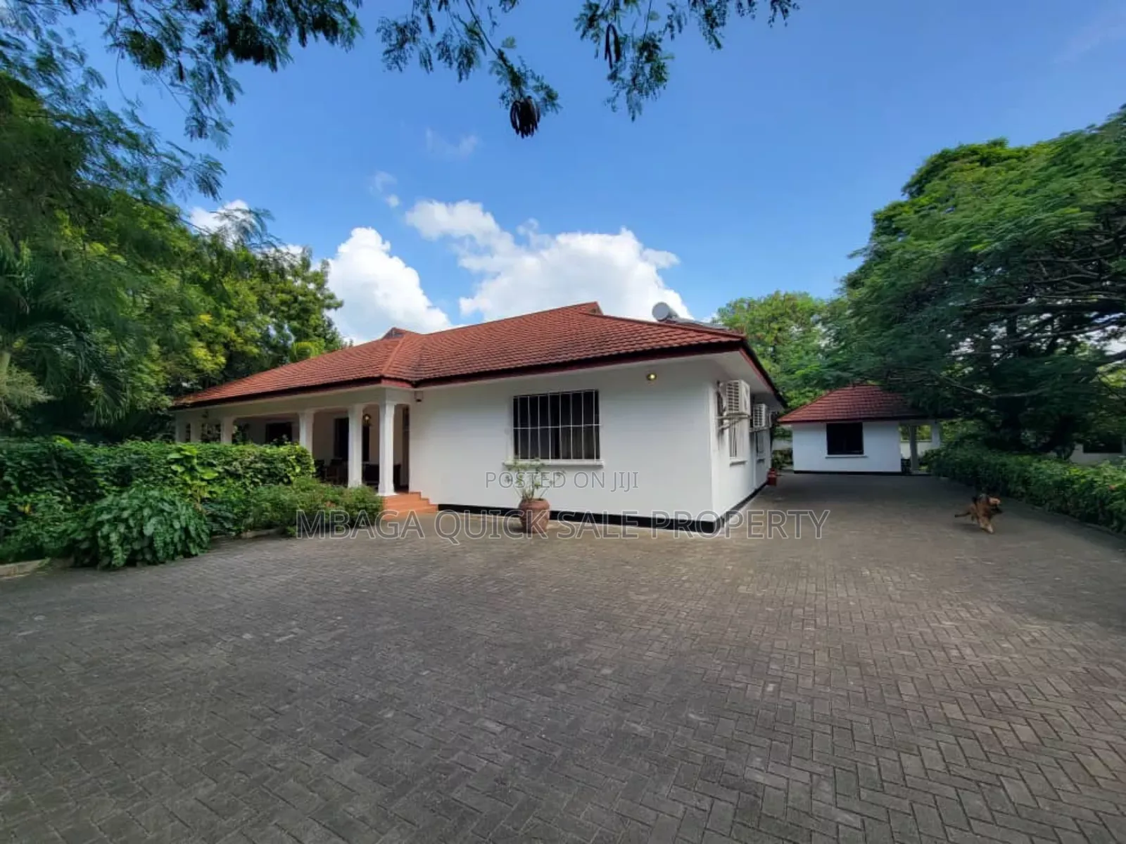 4bdrm House in Oysterbay for rent