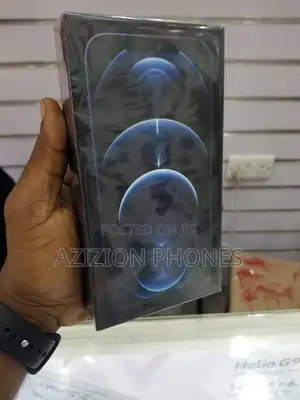 New Apple iPhone 12 Pro Max 256 GB Blue