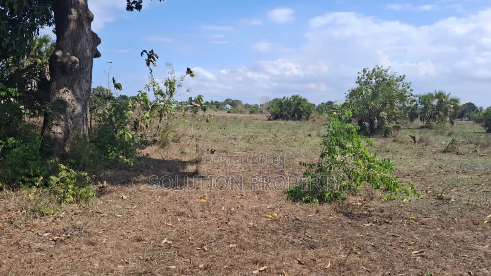 Plot For Sale At Bagamoyo