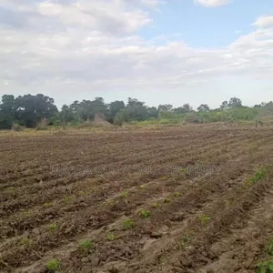Photo - Farm Along the River With 184 Acres at Bagamoyo Wami River