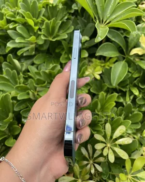Apple iPhone 12 Pro Max 256 GB Blue