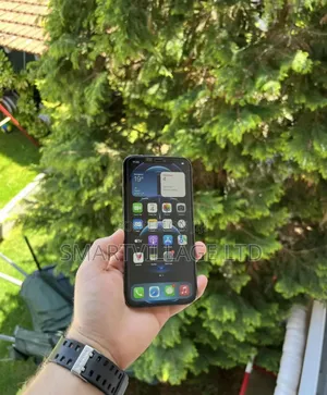 Apple iPhone 12 Pro Max 256 GB Blue
