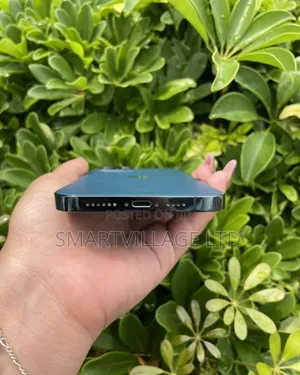 Apple iPhone 12 Pro Max 256 GB Blue