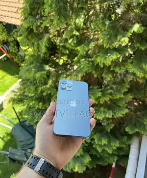 Apple iPhone 12 Pro Max 256 GB Blue