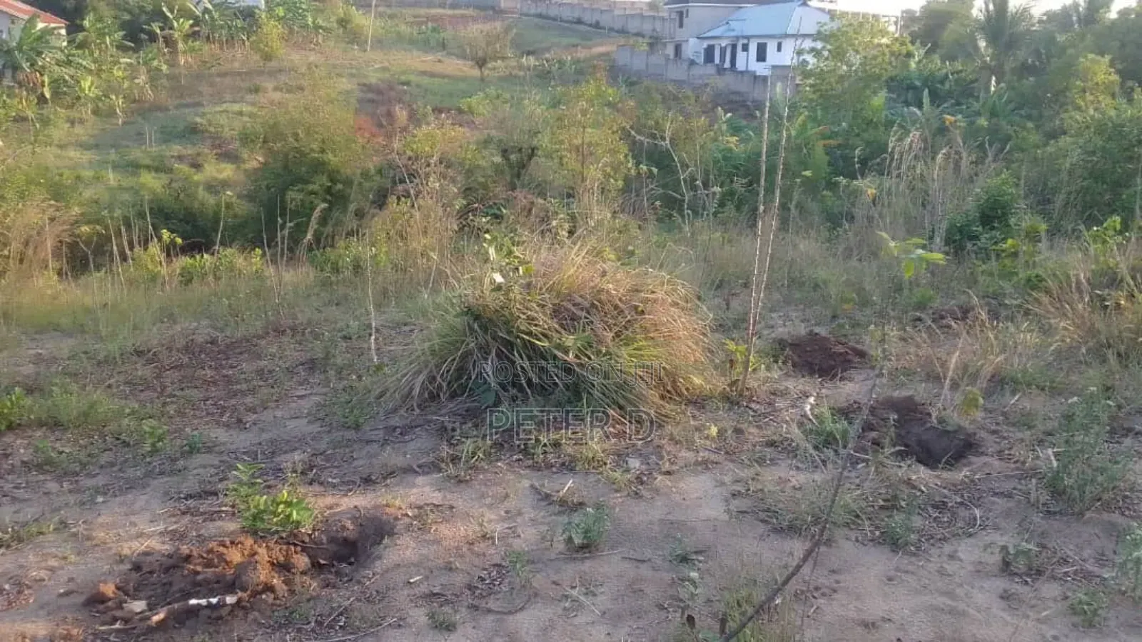 Kiwanja Pembeni Ya Lami