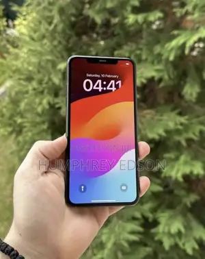 Apple iPhone 11 Pro Max 256 GB Gray