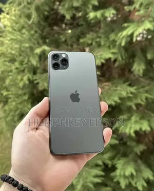 Apple iPhone 11 Pro Max 256 GB Gray