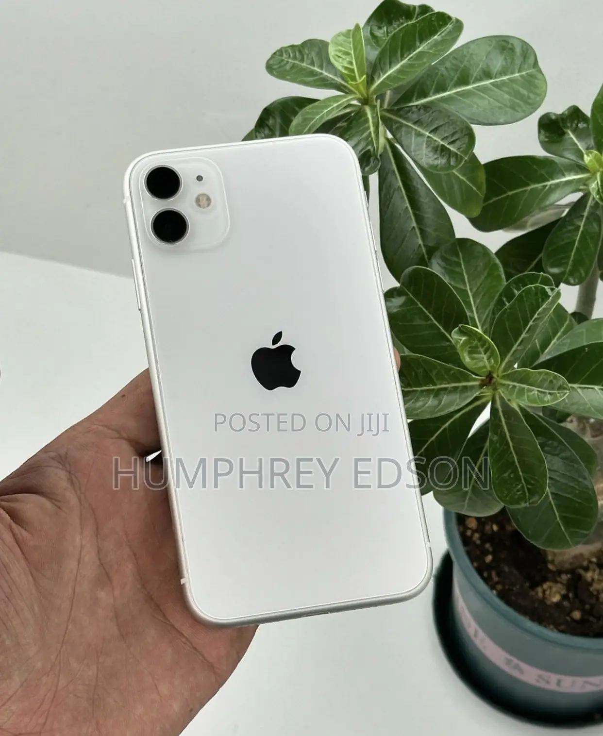 Apple iPhone 11 64 GB White