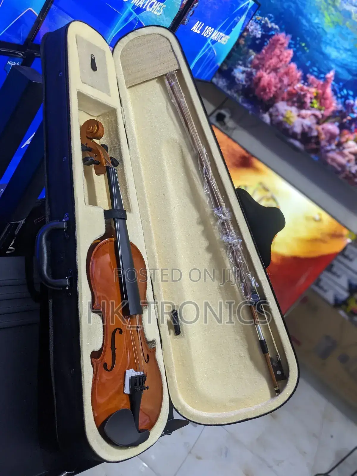 Violin Acoustics
