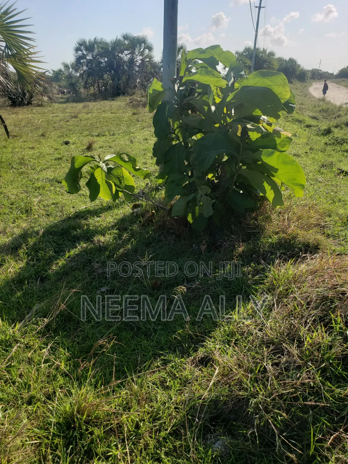 Anza Na 300,000 Viwanja Kibaha