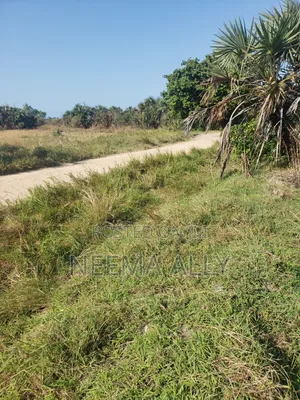 Anza Na 300,000 Viwanja Kibaha