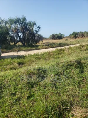 Anza Na 300,000 Viwanja Kibaha