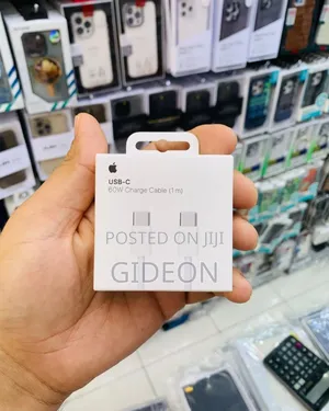 iPhone Charger