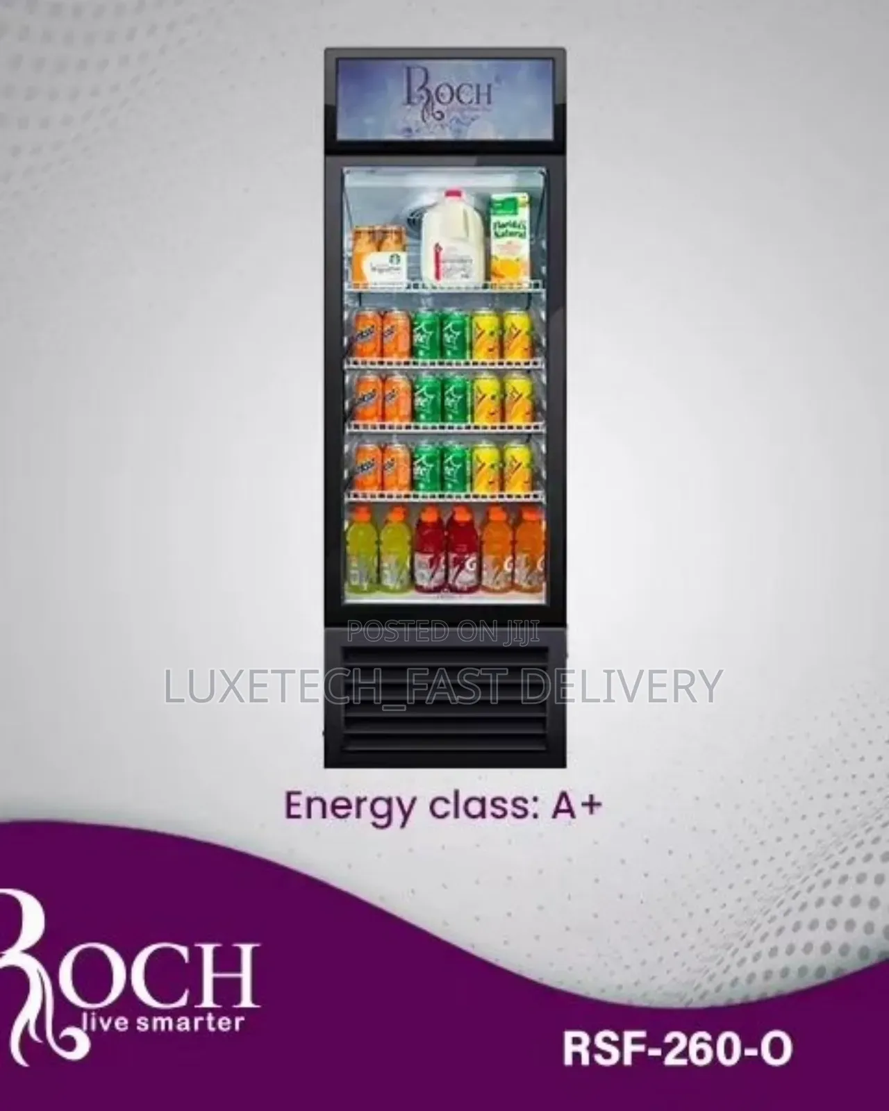 Roch Showcase Refrigerator 210l for Ice Cream, Food and Drinks Cooler