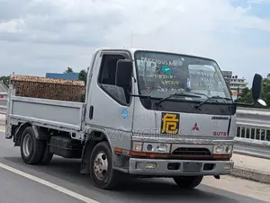 Mitsubishi Canter Guts