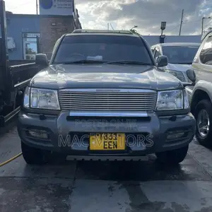 Toyota Land Cruiser HDJ 100 2002 Gray