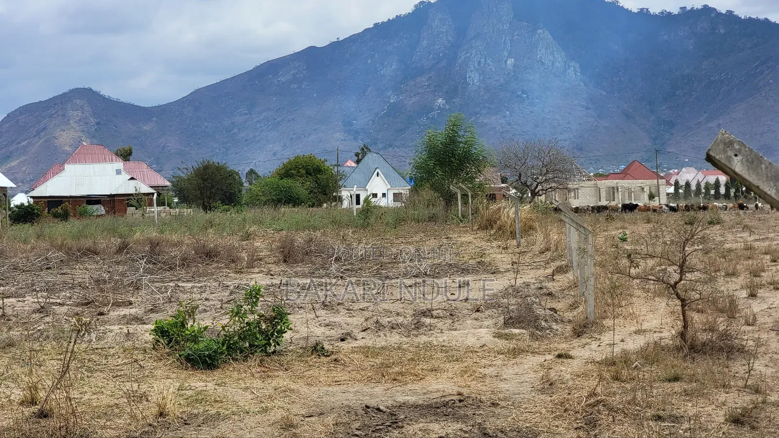 Plots for Sale