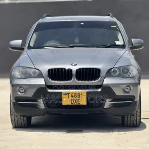 BMW X5 2008 Gray