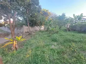 Kiwanja SQM 1200