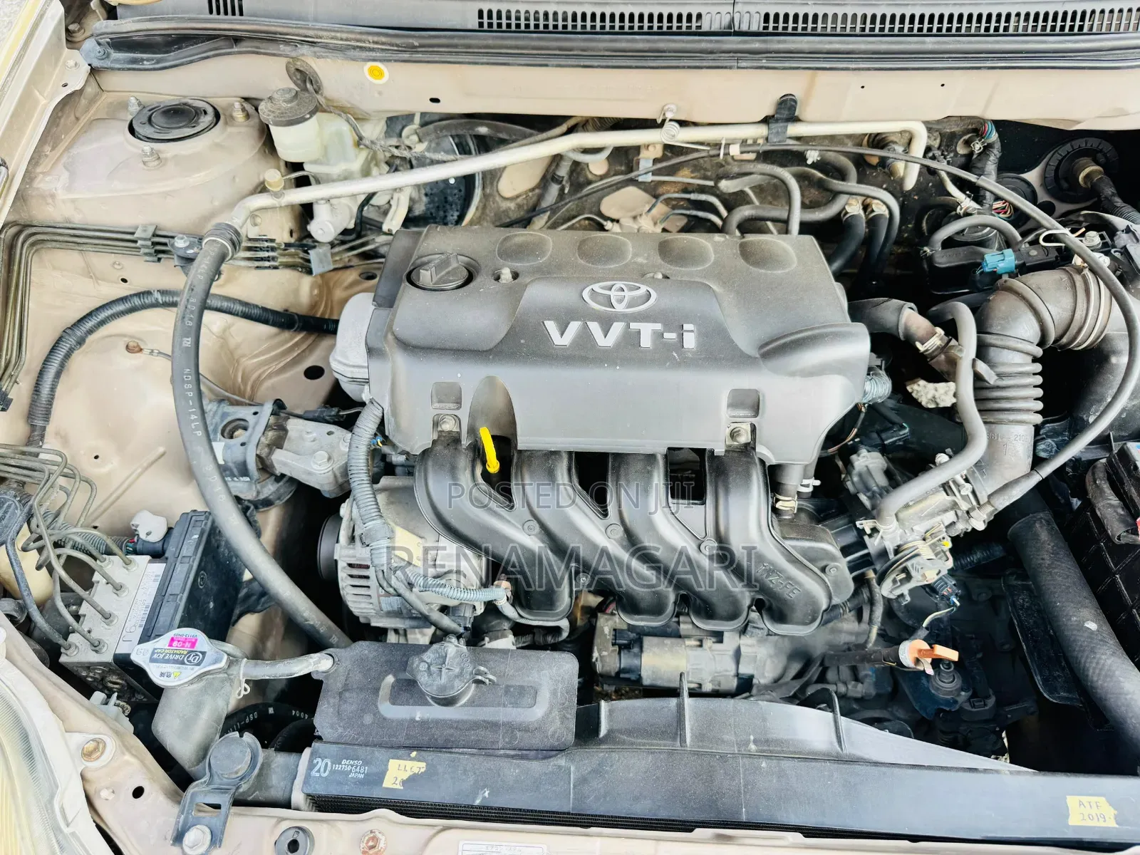 Toyota Allex 2004 Gold