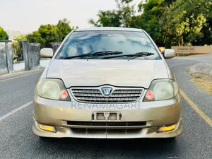 Toyota Allex 2004 Gold