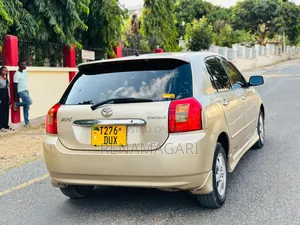 Toyota Allex 2004 Gold