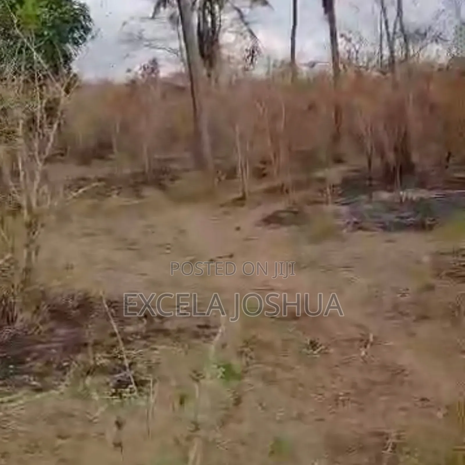 A 60 Acres Farm Located at Mbwewe Is Available for Sale