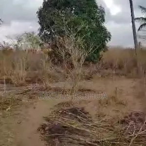 A 60 Acres Farm Located at Mbwewe Is Available for Sale